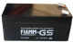 FG 20301 FG 20301